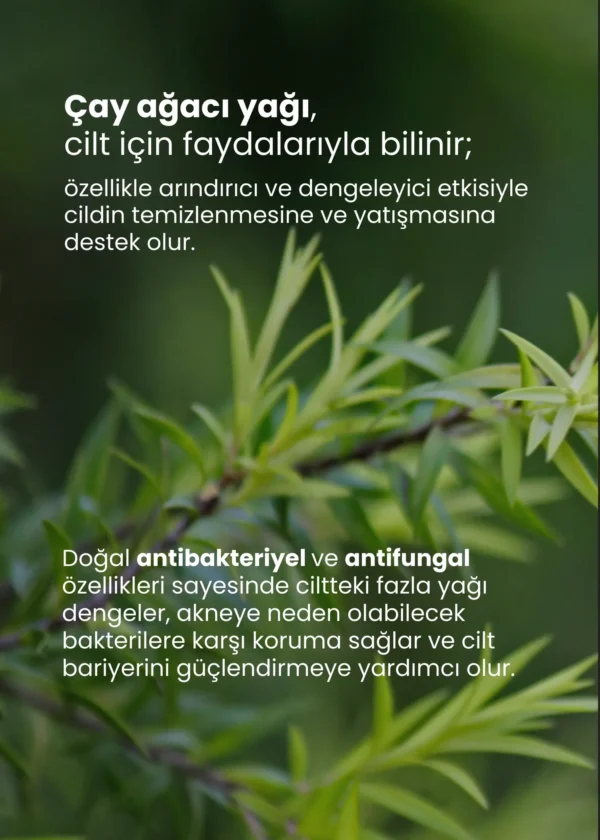 TTO Kil Maskesi 12’li Sivilce Ve Siyah Nokta Karşıtı Yüz Maskesi( Çay Ağacı Yağı / Tea Tree Oil ) - Görsel 4